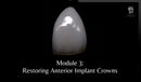 https://dentalmp4.com/wp-content/uploads/2023/11/Module-3.jpg
