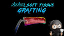 https://dental-books.com/wp-content/uploads/2023/09/Ninja-Soft-Tissue-Grafting.jpg
