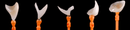 https://dentalmp4.com/wp-content/uploads/2022/06/hero_beauty_shot_teeth3.png